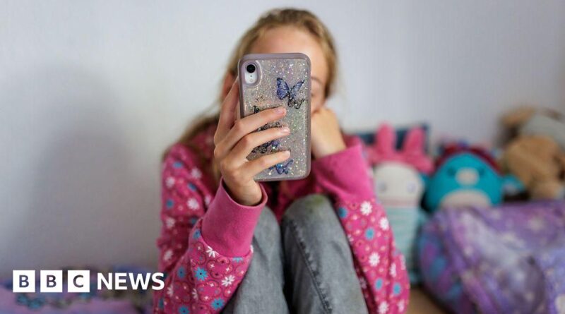 Person in a pink sweater sits on the floor taking a selfie with a glittery butterfly phone case; BBC News watermark appears in the corner.