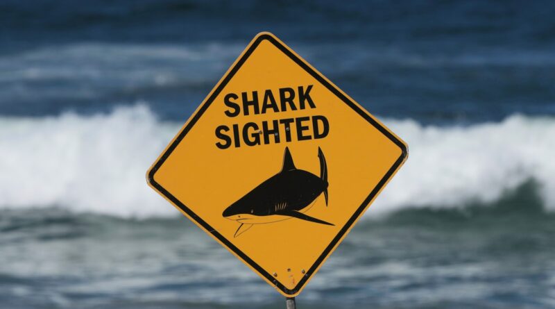 Yellow warning sign reading 'SHARK SIGHTED' with a black shark silhouette, ocean waves in the blurred background.