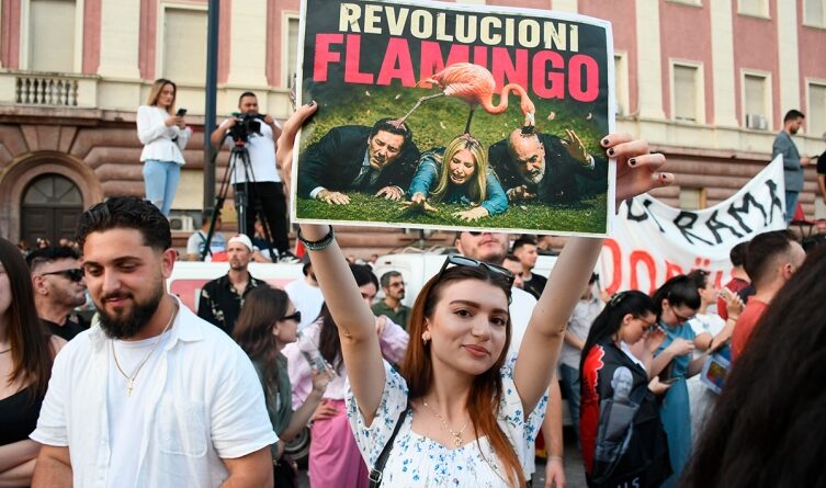 Young woman at a street protest holds up a sign reading 'REVOLUCIÓN FLAMINGO' with a flamingo image, crowd behind her.