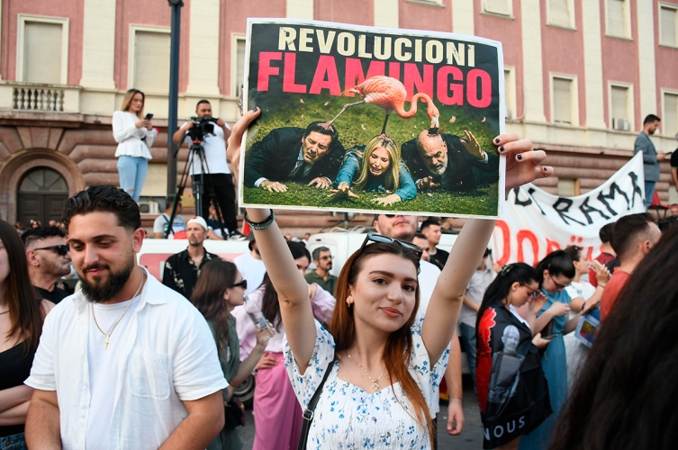 Young woman at a street protest holds up a sign reading 'REVOLUCIÓN FLAMINGO' with a flamingo image, crowd behind her.
