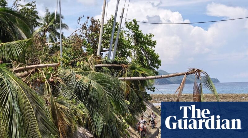 Coastal scene after a storm: toppled palm trees, leaning utility poles, and debris along a road by the sea; Guardian watermark visible.