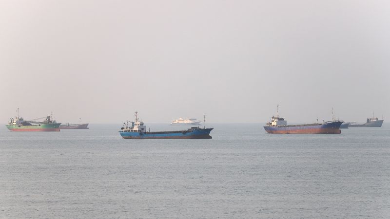 Several cargo ships floating on a calm sea under a hazy sky, with a distant horizon.