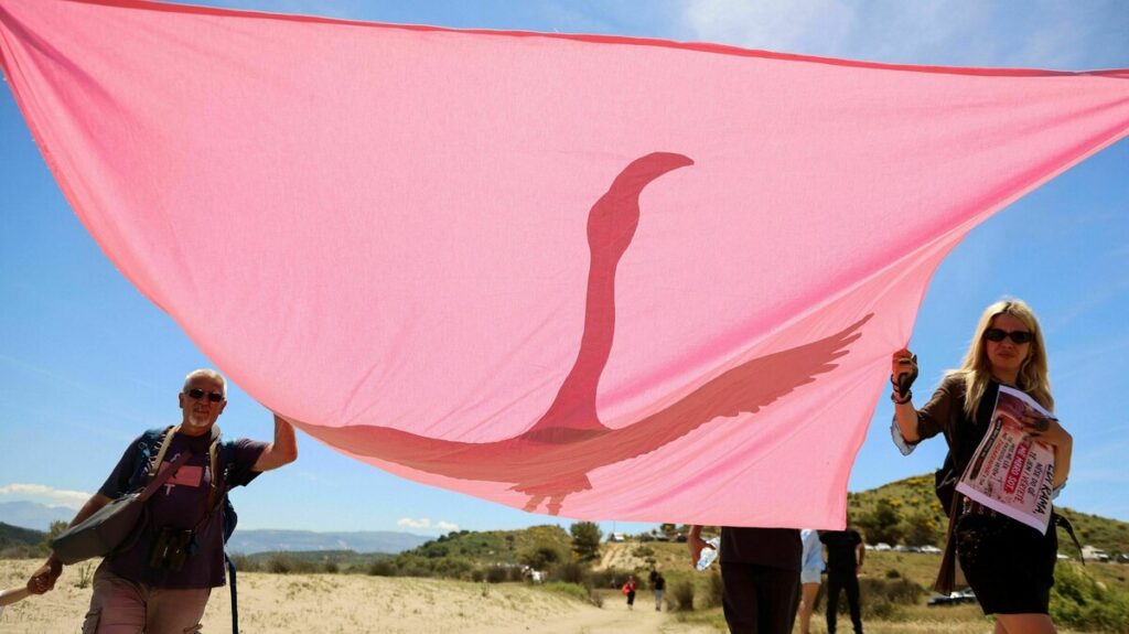 Two people hold up a large pink banner with a dark pink flamingo silhouette outdoors on a sunny day.
