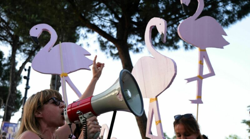 Woman shouting into a red and gray megaphone at a protest, with large pink flamingo cutouts in the background outside.