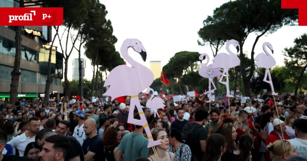 Crowd on a city street at a protest, holding large pink flamingo cutouts on sticks; a red profil p+ banner is visible.
