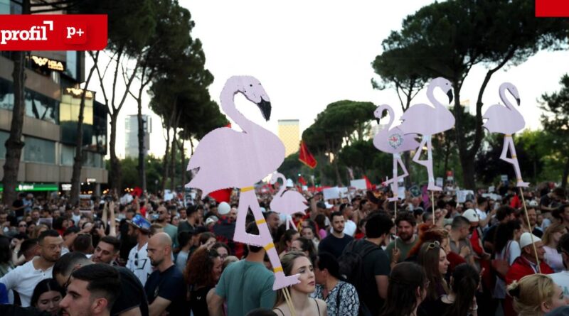 Crowd on a city street at a protest, holding large pink flamingo cutouts on sticks; a red profil p+ banner is visible.