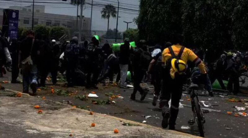 Crowded street protest with scattered petals and debris; a person on a bicycle passes by on the right.