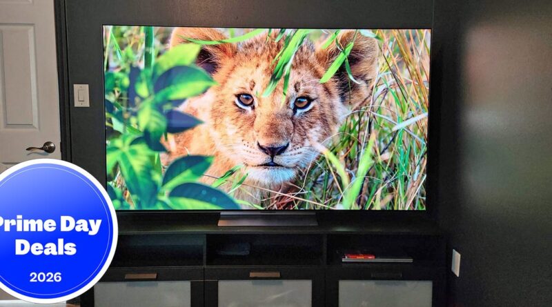 Flat-screen TV on a stand displaying a lion cub in tall grass; a blue Prime Day Deals 2026 badge overlaps the bottom-left corner.