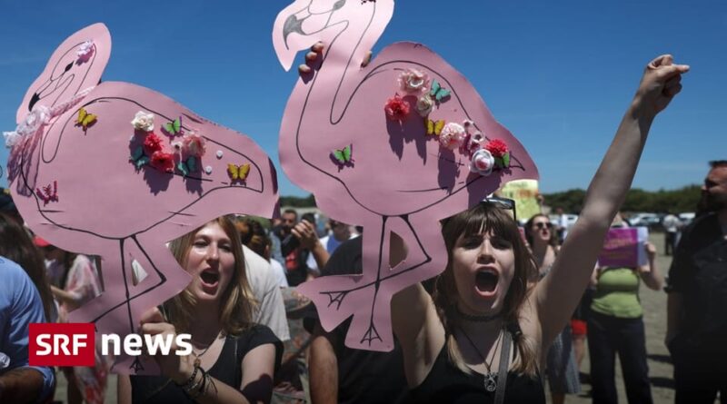Outdoors, protesters hold large pink cardboard bird cutouts decorated with flowers and butterflies, shouting and raising their fists; SRF News logo in the corner.