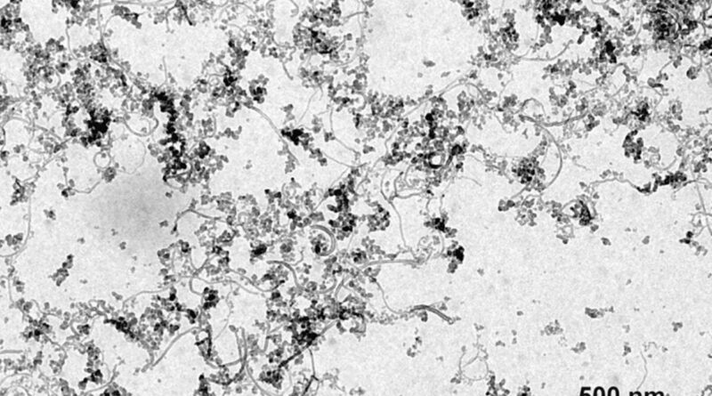 Transmission electron micrograph of tangled filamentous nanostructures with dark clusters; scale bar indicates 500 nm.