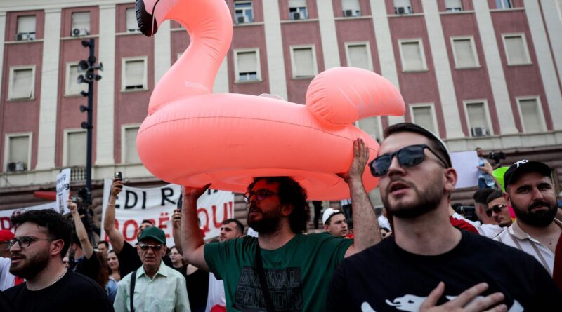 Crowd of protesters in a city street, a large pink inflatable flamingo floats above them.
