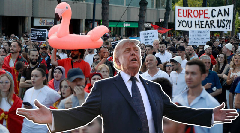 Crowd of protesters with a life-size Trump cutout in a suit, arms wide, large pink flamingo inflatable nearby, and banners in the background.
