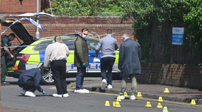 Group of investigators at a crime scene near a marked police car, yellow evidence markers scattered on the pavement.