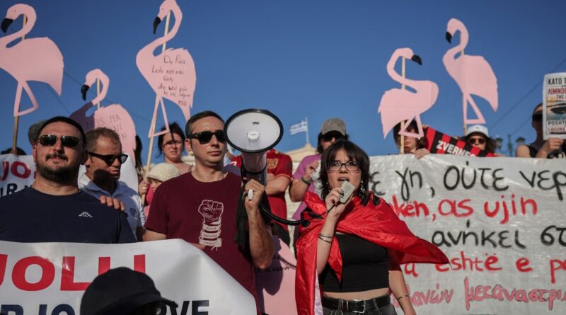 Protesters at a sunny rally; a man with sunglasses holds a megaphone beside a woman speaking into a mic, pink flamingo signs in the background.
