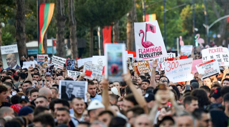 Large crowd of people at a protest holding signs and banners, including a prominent 'Flamingo Revolution' sign with a pink flamingo illustration.