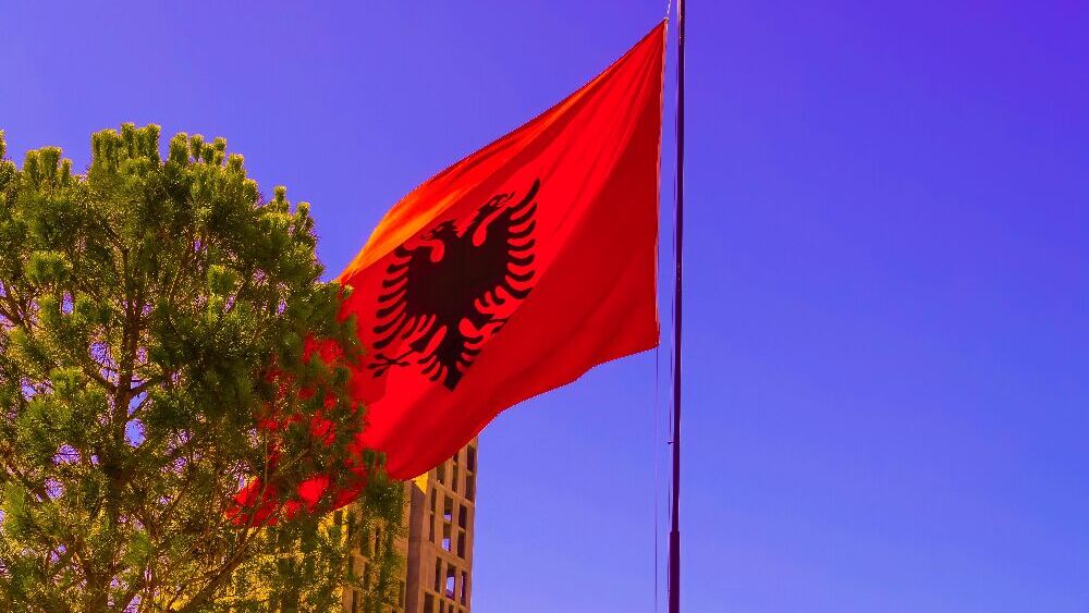 Albanian flag red with a black double-headed eagle fluttering on a flagpole beside a leafy tree against a blue sky.