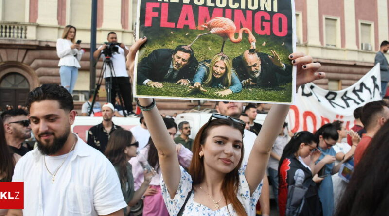 Young woman holds up a protest poster showing a flamingo with people crawling, in a crowded demonstration.