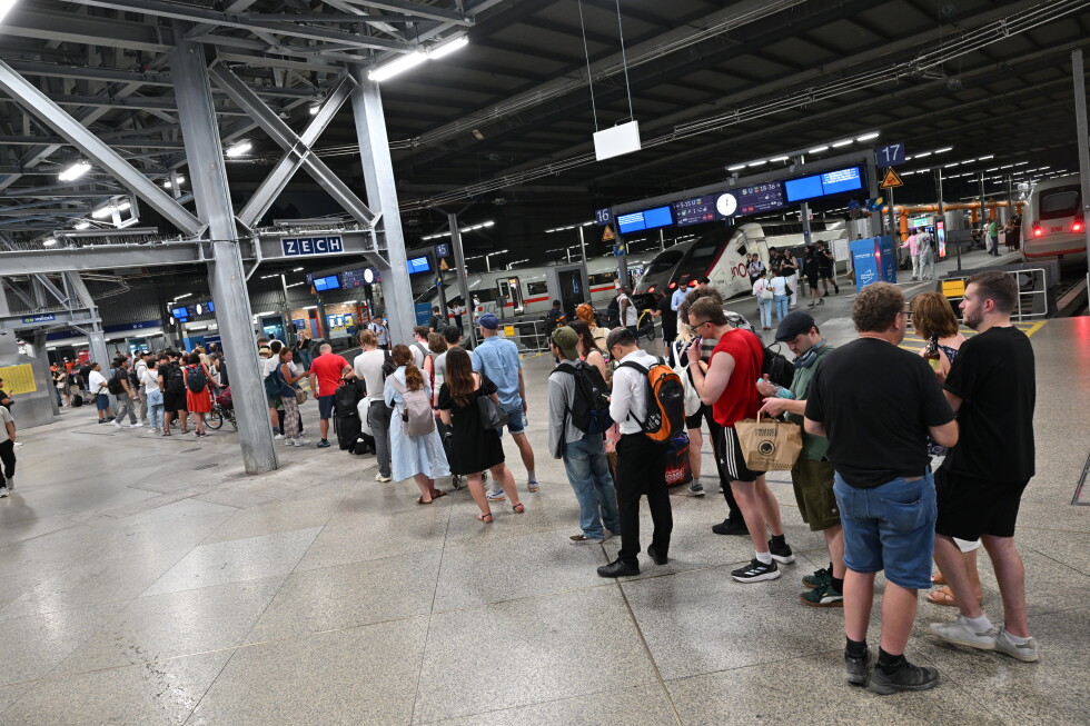 A long line of travelers waiting on a busy train platform under a metal roof, with trains and digital boards in the background.