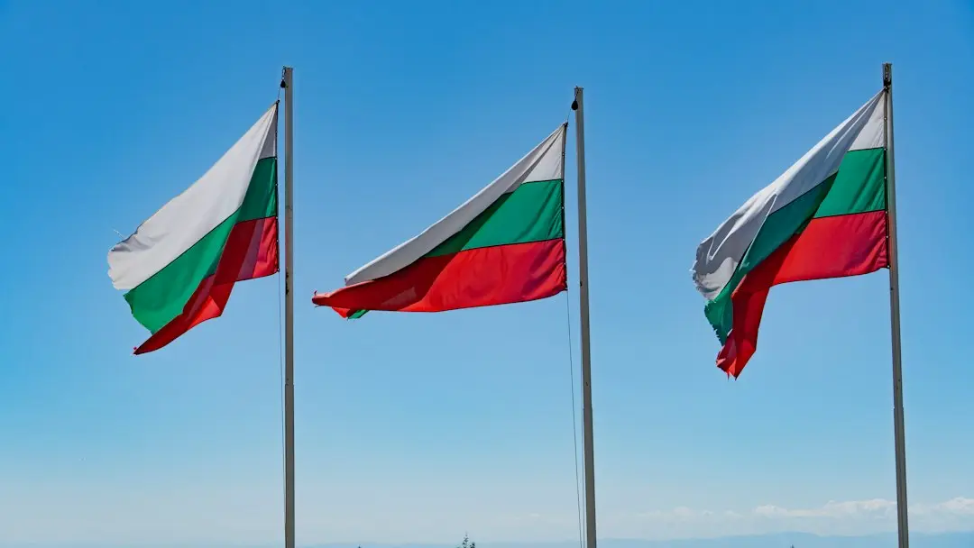 Ilustrim me flamuj shqiptarë për zgjedhjet në Serbi