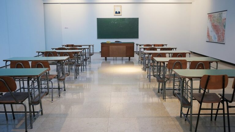 Shkollë shqipe dhe mësimi i gjuhës në diasporë