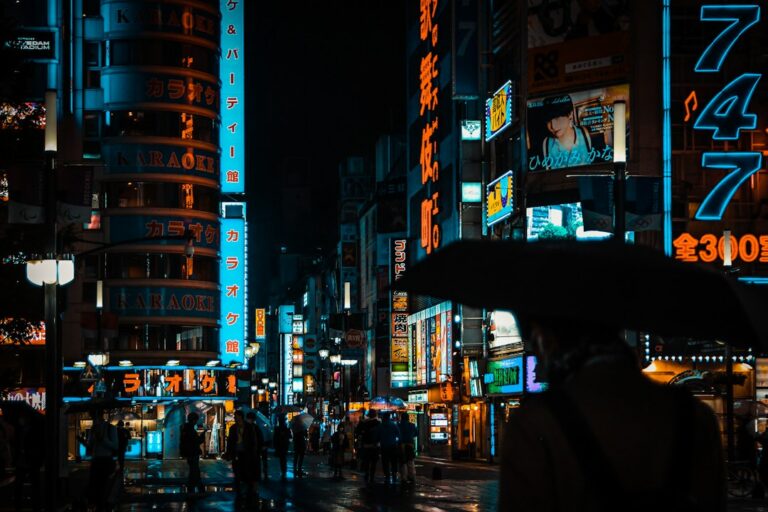 Rrugë në Tokio natën – tajfuni Dujuan godet Japoninë (foto ilustruese)