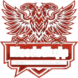Logo BisedoShqip