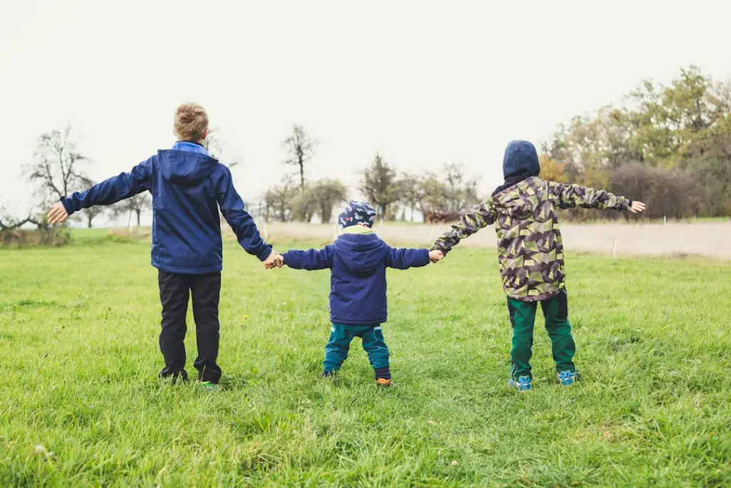 Kindergeld në Gjermani: çfarë ndryshon nga reforma e re e taksave